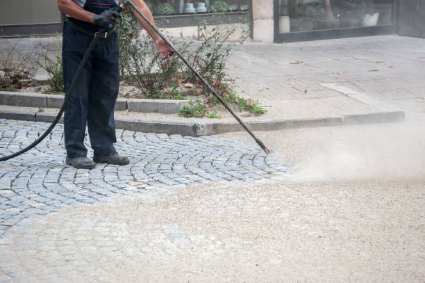 Best Driveway Pressure Washing  in Dumas, TX